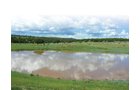 Property photo 1 - 7,320 Acres Offered in 5 Tracts